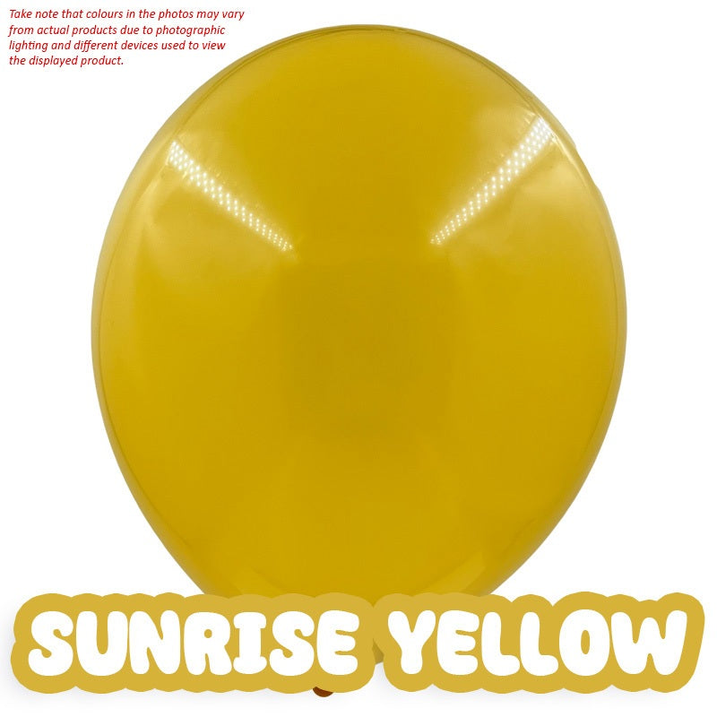 10" Party Balloons (10pcs/pkt)