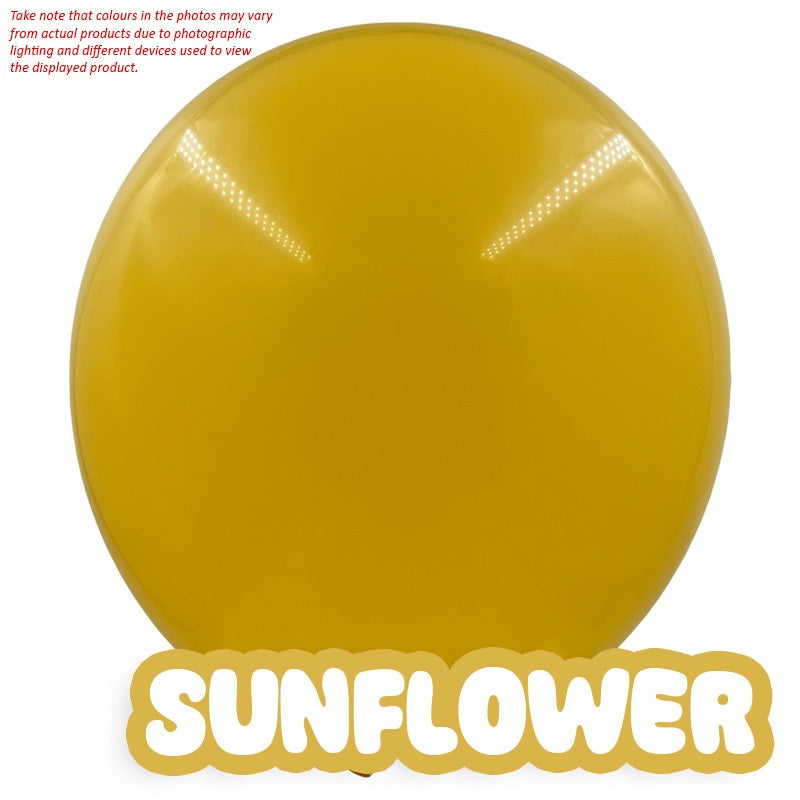 10" Party Balloons (10pcs/pkt)