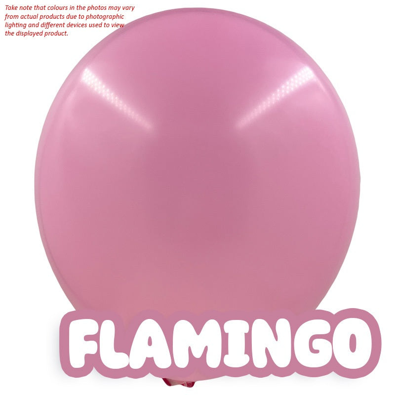 10" Party Balloons (10pcs/pkt)