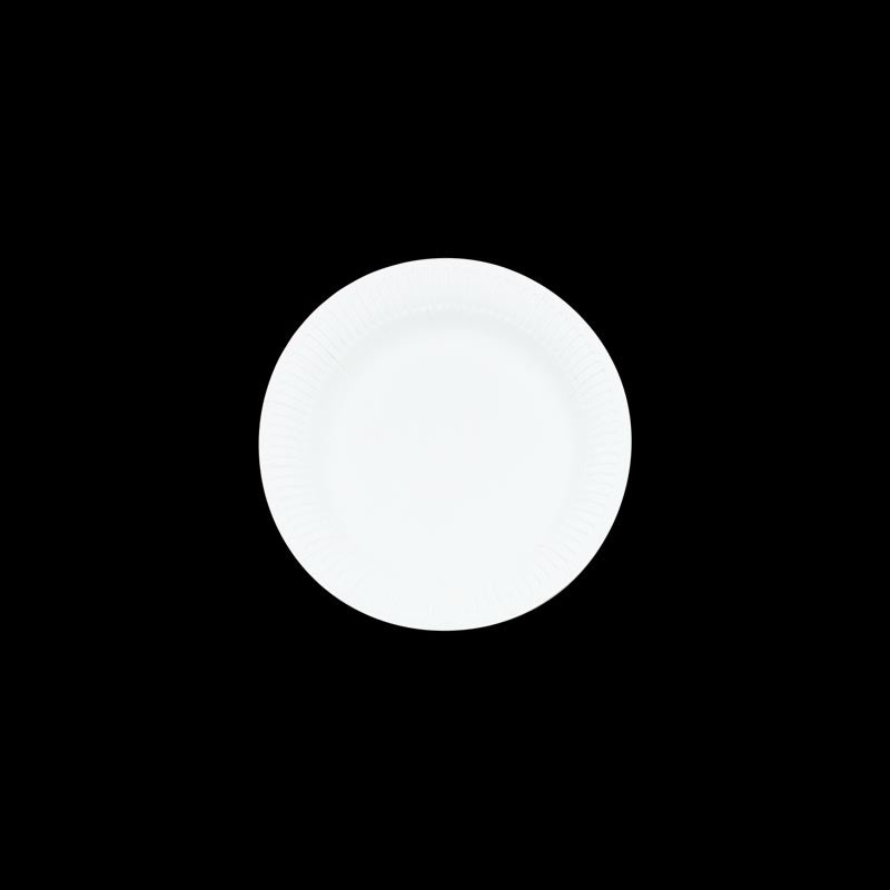 Paper Plate (Coloured / White)